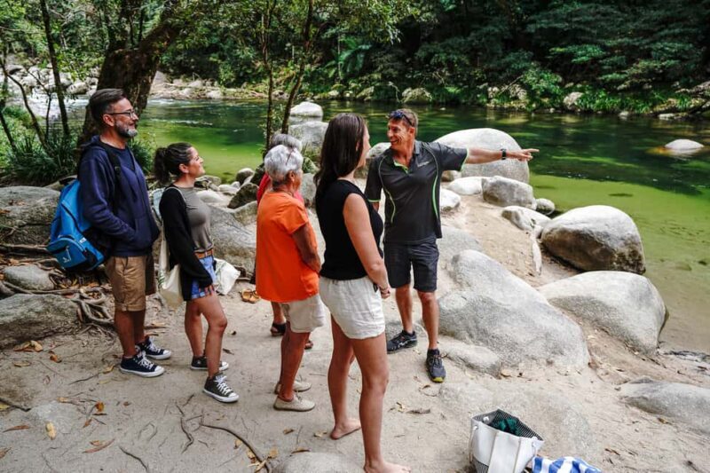Port Douglas: Best of Daintree Rainforest Day Tour - Final Thoughts: Who Is This Tour Perfect For?
