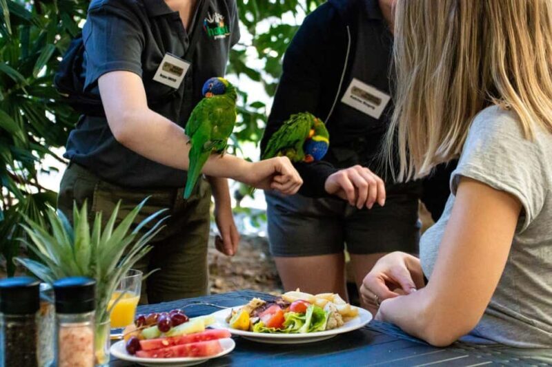 Port Douglas: Breakfast with the Birds - Key Points
