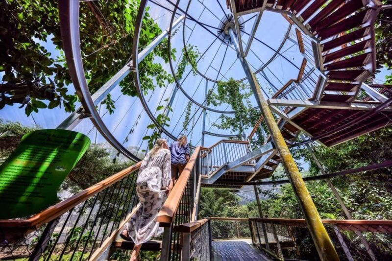 Port Douglas: Breakfast with the Birds - A Detailed Look at the Experience
