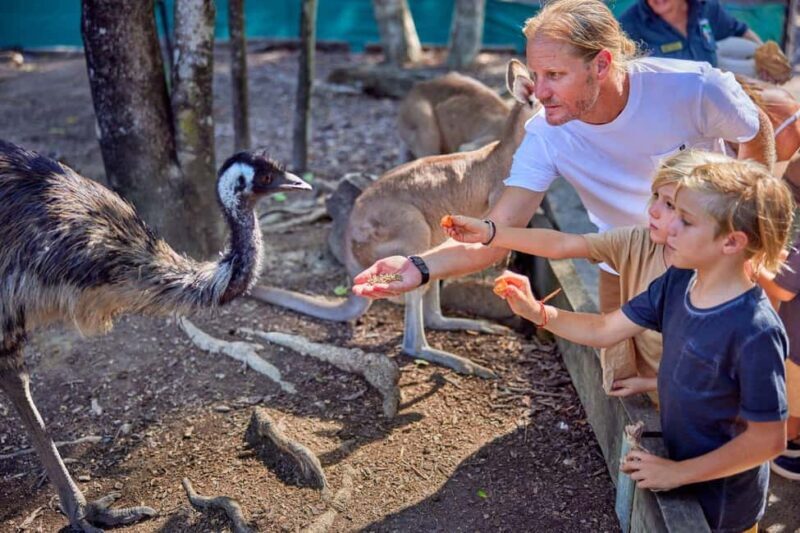 Port Douglas: Breakfast with the Birds - Why This Tour Works