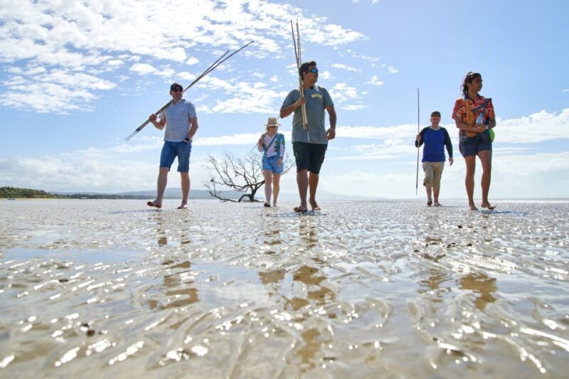 Port Douglas: Daintree Cultural Tour with Hotel Pickup - Key Points