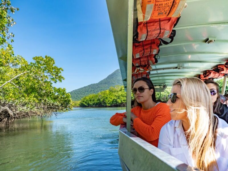 Port Douglas: Daintree National Park Tour, Cruise, & Zipline - An In-Depth Look at the Daintree Tour Experience