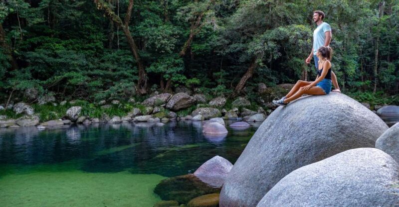 Port Douglas: Daintree Rainforest and Cape Tribulation Tour - Practical Details and What to Bring