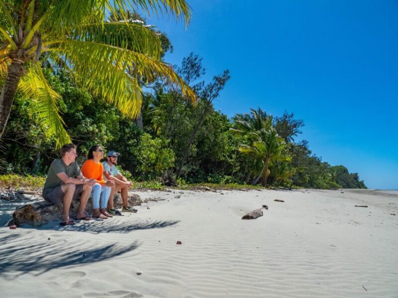 Port Douglas: Daintree Rainforest and Cape Tribulation Tour - Final Thoughts: Is This Tour Worth It?