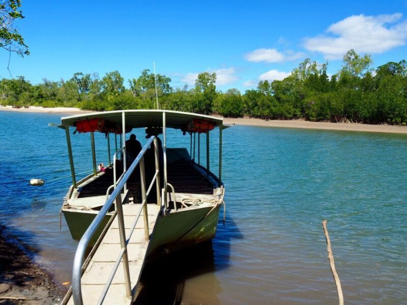 Port Douglas: Daintree Rainforest and Cape Tribulation Tour - FAQs