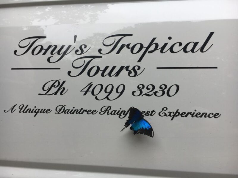 Port Douglas: Daintree Rainforest and Mossman Gorge Tour - Exploring the Itinerary in Detail