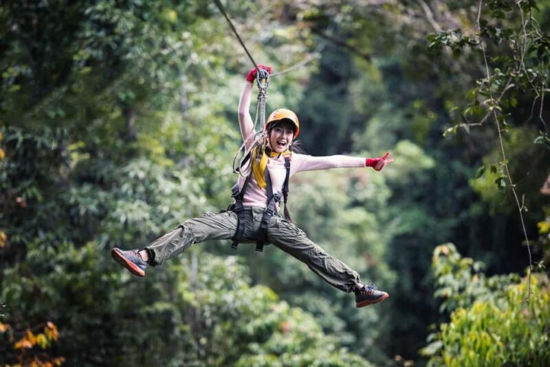 Port Douglas: Daintree Rainforest Canopy Ziplining Tour - Key Points