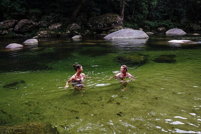 Port Douglas & Daintree Tour for Cruise Ship Passenger - A Close Look at the Itinerary