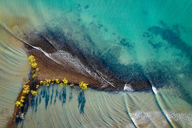 Port Douglas Day Tour from Cairns - The Full Experience: What to Expect