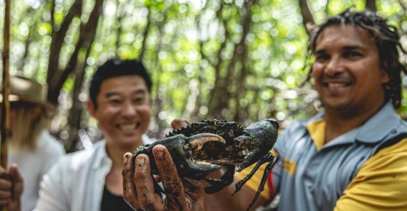 Port Douglas: Full Day Daintree Cultural Tour with Lunch - Cultural and Practical Lessons