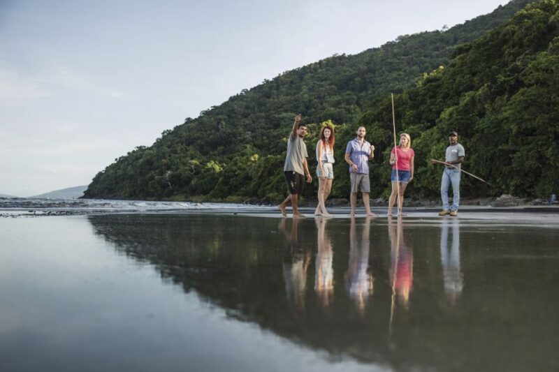 Port Douglas: Full Day Daintree Cultural Tour with Lunch - Highlighted Activities