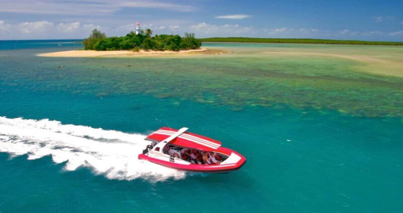 Port Douglas: Half-Day Low Island and Lagoon Snorkeling Tour - The Itinerary Breakdown: What to Expect