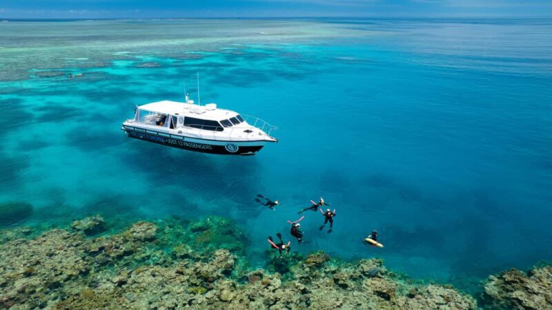 Port Douglas: Just 12 Passengers Guided Snorkel Reef Cruise - Key Points