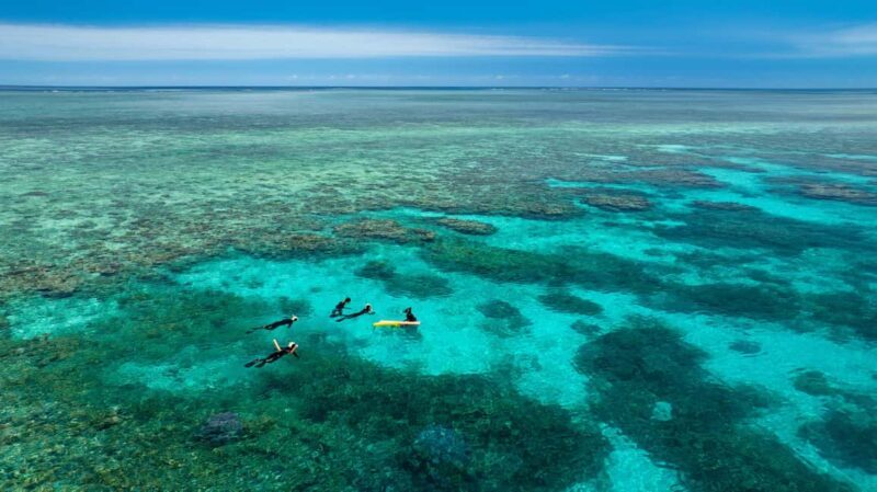 Port Douglas: Just 12 Passengers Guided Snorkel Reef Cruise - What To Bring & What Not To