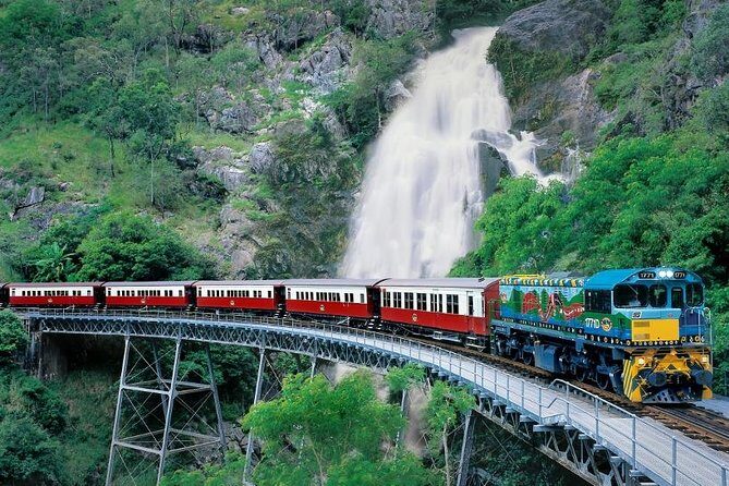 Port Douglas: Kuranda tour with Skyrail or Scenic Train - The Experience Breakdown: What You Can Expect