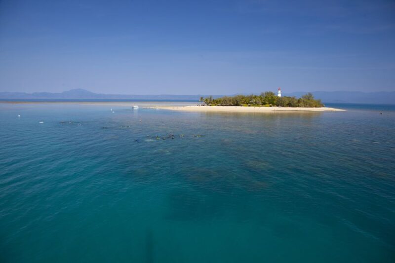 Port Douglas: Low Isles Glass Bottom Boat & Snorkeling Tour - Exploring the Low Isles Glass Bottom Boat & Snorkeling Tour: A Balanced Review