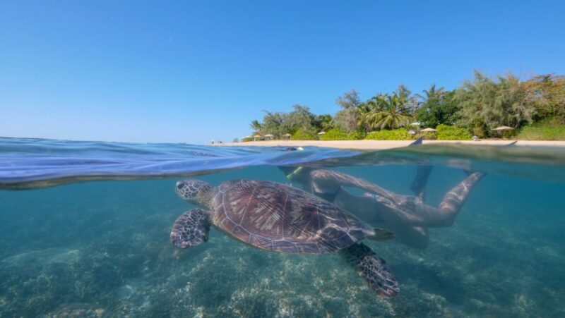 Port Douglas: Low Isles Glass Bottom Boat & Snorkeling Tour - The Itinerary Breakdown: What to Expect