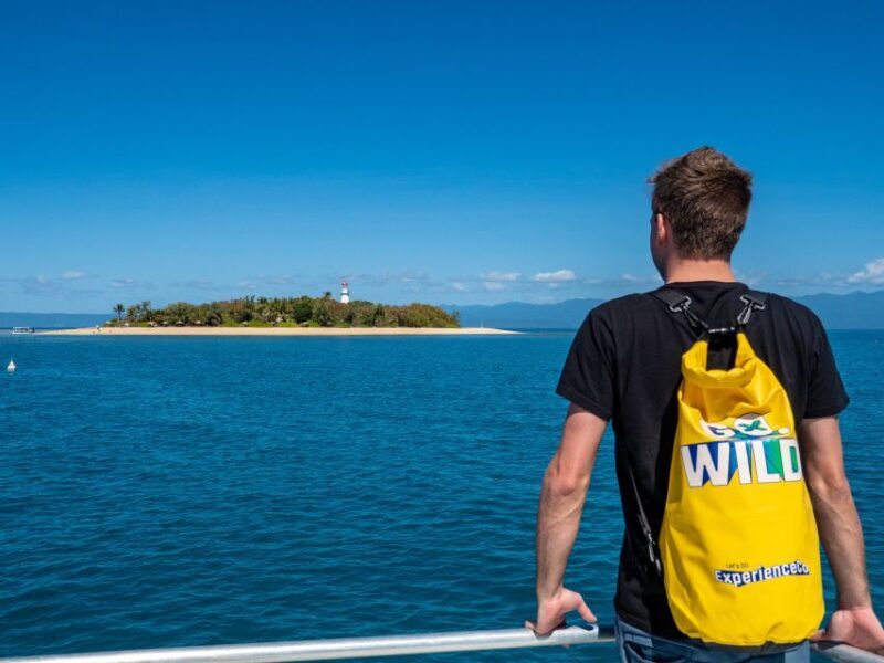 Port Douglas: Low Isles Glass Bottom Boat & Snorkeling Tour - Why We Recommend This Tour