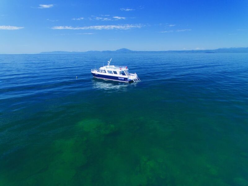 Port Douglas: Low Isles Glass Bottom Boat & Snorkeling Tour - Who Should Consider Other Options?