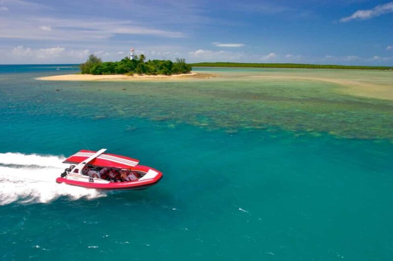Port Douglas: Low Isles Reef Snorkeling Tour - What to Expect During the Tour