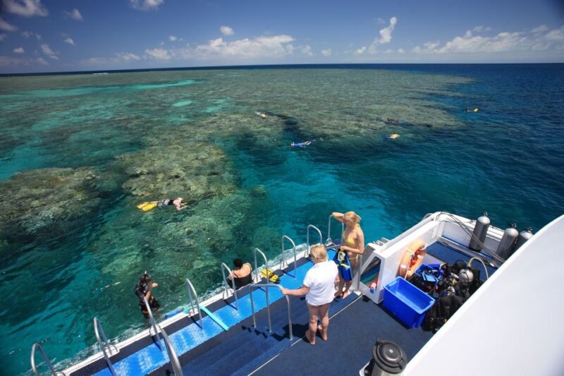 Port Douglas: Outer Barrier Reef Snorkel and Dive Options - Key Points
