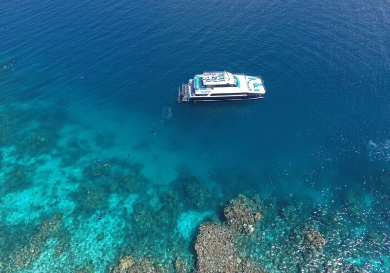 Port Douglas: Outer Barrier Reef Snorkel and Dive Options - Starting the Day: From Port Douglas to the Reefs