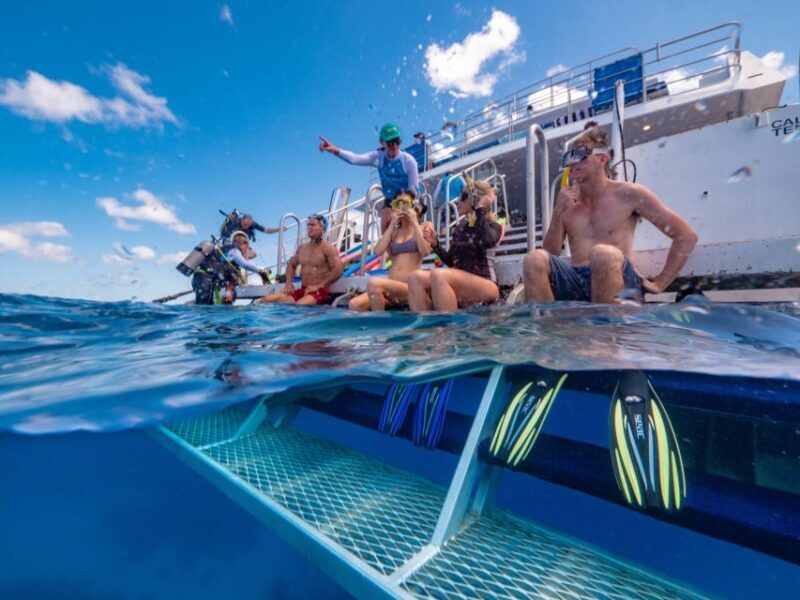 Port Douglas: Outer Barrier Reef Snorkel and Dive Options - Morning Tea and the Second Reef