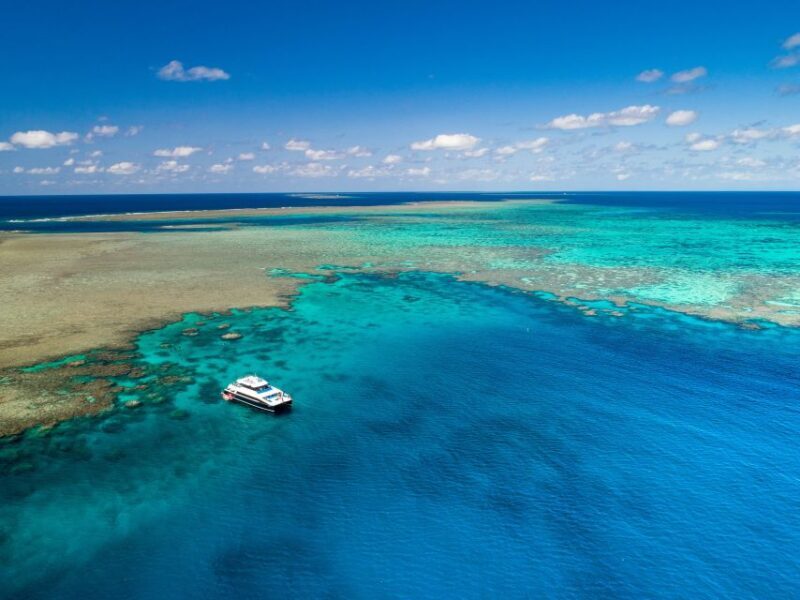 Port Douglas: Outer Barrier Reef Snorkel and Dive Options - Lunch and Reef Education