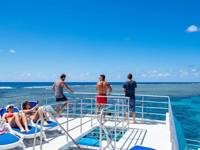 Port Douglas: Outer Barrier Reef Snorkel and Dive Options - The Third Reef: Flexible and Relaxed