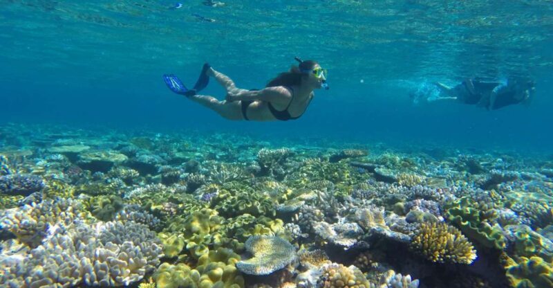 Port Douglas: Outer Barrier Reef Snorkel and Dive Options - What Sets This Tour Apart?