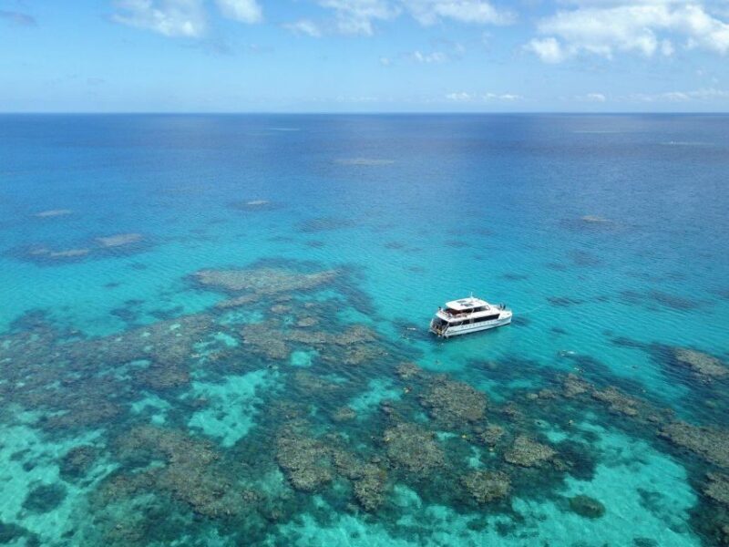 Port Douglas: Outer Great Barrier Reef Snorkeling Cruise - Key Points