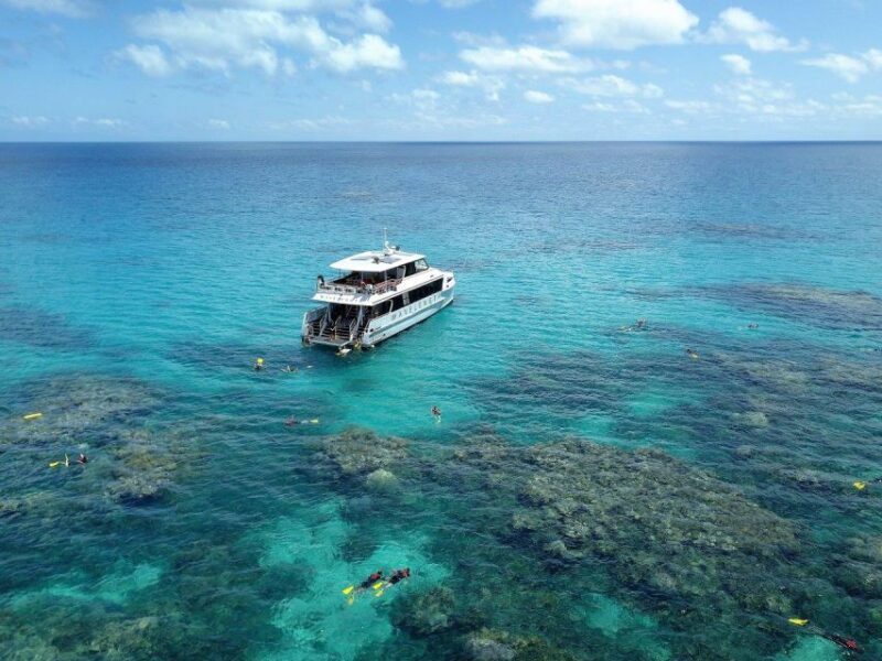 Port Douglas: Outer Great Barrier Reef Snorkeling Cruise - What to Expect on the Day