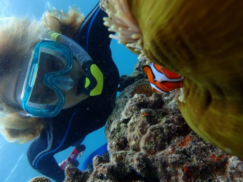 Port Douglas: Outer Great Barrier Reef Snorkeling Cruise - Final Thoughts