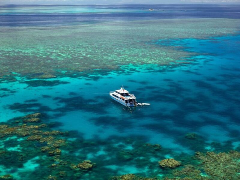 Port Douglas: Poseidon Outer Barrier Reef Dive and Snorkel - An Authentic Reef Adventure