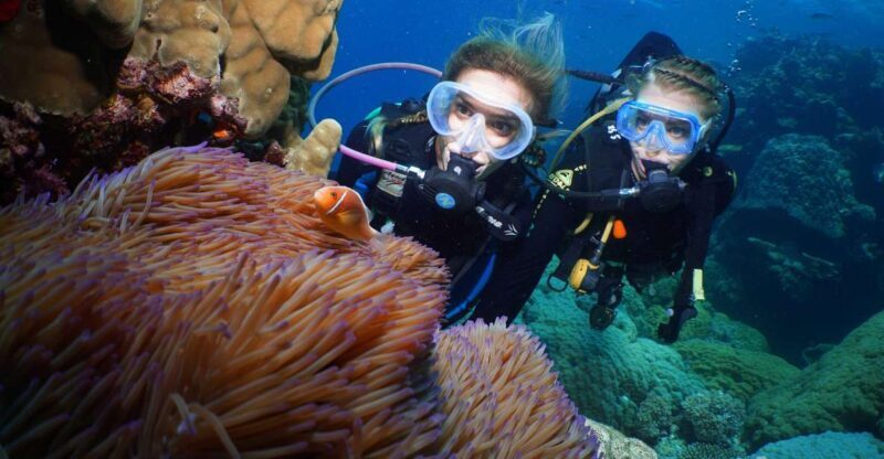 Port Douglas: Poseidon Outer Barrier Reef Dive and Snorkel - What Makes This Tour Stand Out?