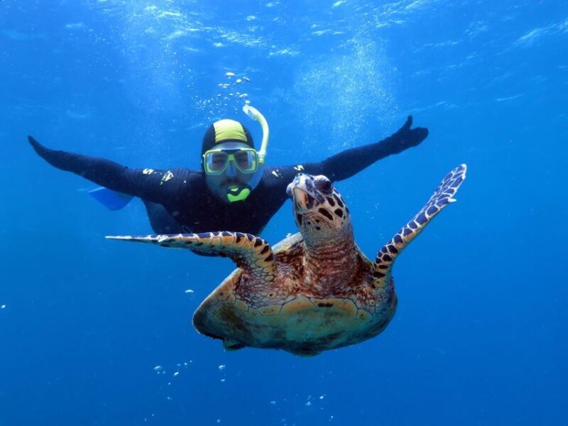 Port Douglas: Poseidon Outer Barrier Reef Dive and Snorkel - Practical Details and Tips