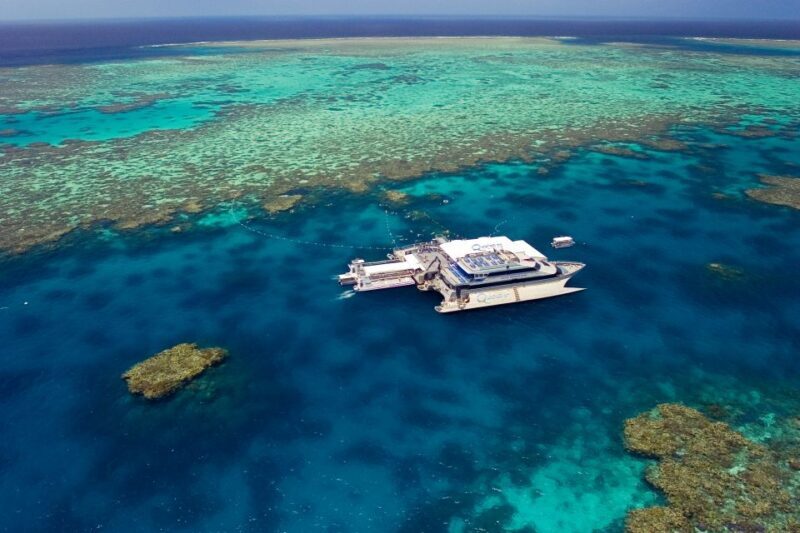 Port Douglas: Quicksilver Outer Barrier Reef Full-Day Cruise - Setting Sail to the Reef – What to Expect  