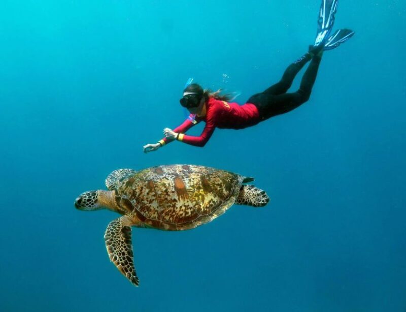 Port Douglas: Quicksilver Outer Barrier Reef Full-Day Cruise - Accessibility and Family-Friendliness  
