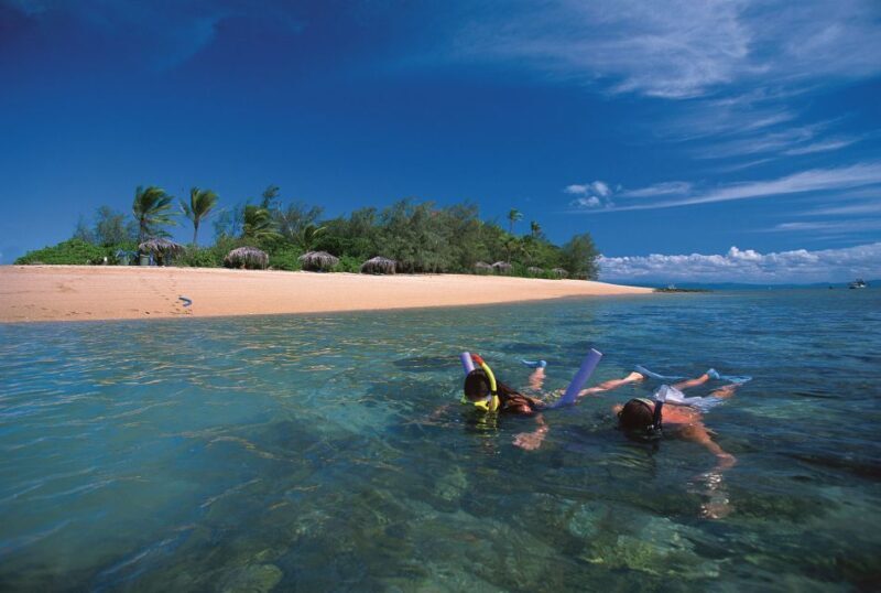 Port Douglas: Reef & Low Isles Cruise on Luxury Catamaran - Key Points