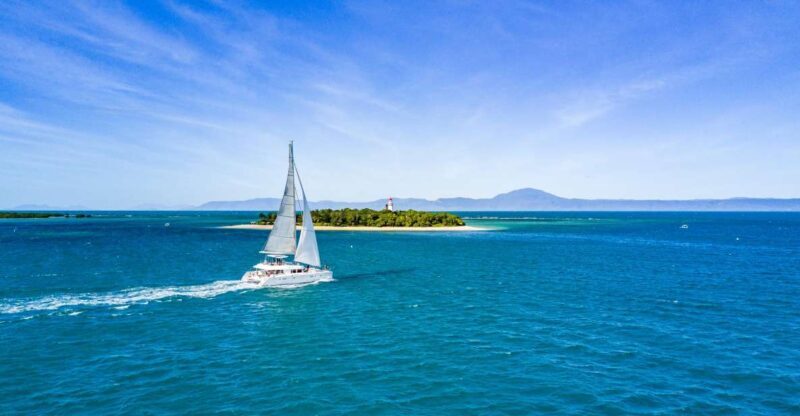 Port Douglas: Reef & Low Isles Cruise on Luxury Catamaran - A Detailed Look at the Experience