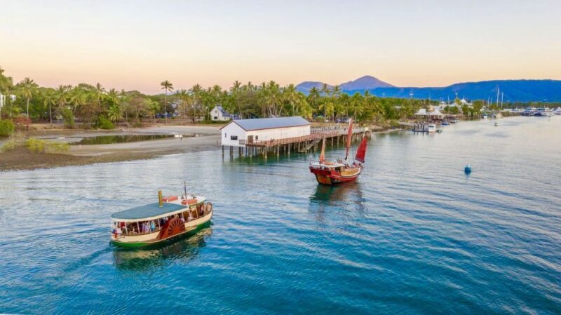 Port Douglas: River Cruise, Crocodile Spotting, Drink/ Snack - The Scenic Beauty of Port Douglas’s Mangroves and Rainforests