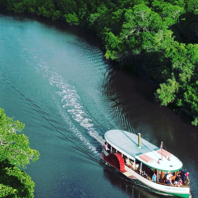 Port Douglas: River Cruise, Crocodile Spotting, Drink/ Snack - Who Should Consider This Tour?