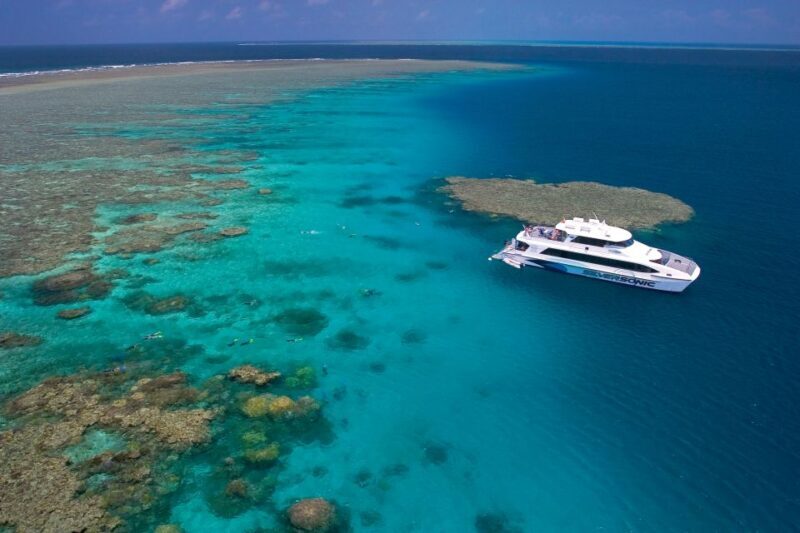 Port Douglas: Silversonic Great Barrier Reef Dive & Snorkel - An Honest Look at the Silversonic Experience