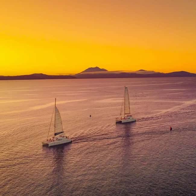 Port Douglas: Sunset Sailing Cruise on Luxury Catamaran - Who Would Love This Experience?