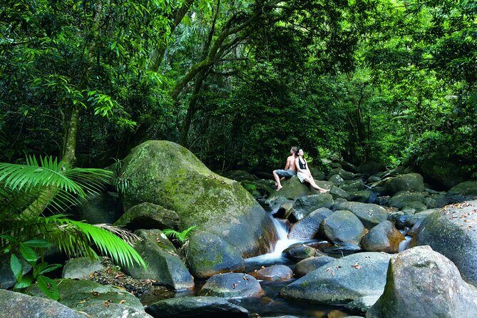Port Douglas to Cairns ONE WAY Private Transfer 6 pax - FAQs