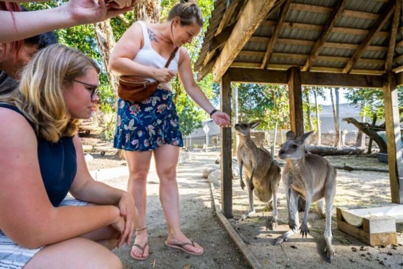 Port Douglas: Wildlife Habitat Entrance Ticket - Introduction: What Makes This Wildlife Park Special?