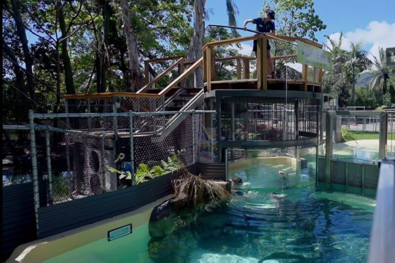 Port Douglas: Wildlife Habitat Swim with Crocodiles - Authentic insights from reviews