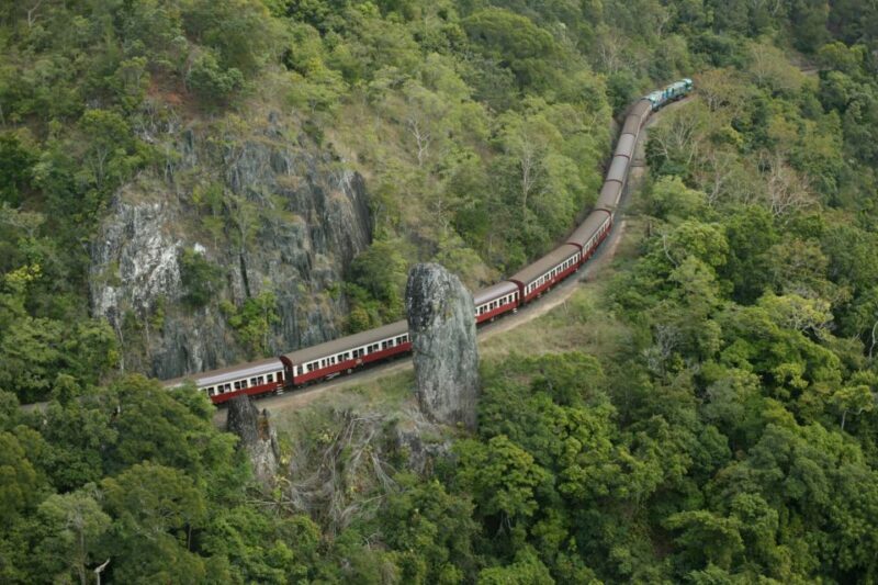 Port Douglas: World Heritage Forest by Skyrail & Scenic Rail - Key Points  