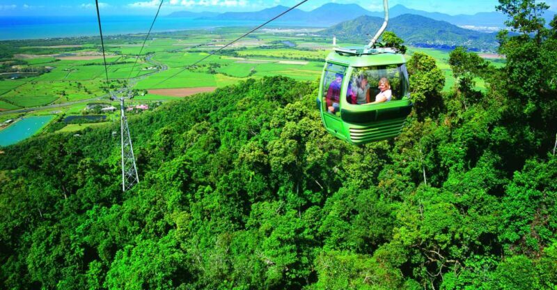 Port Douglas: World Heritage Forest by Skyrail & Scenic Rail - The Skyrail Rainforest Cableway  