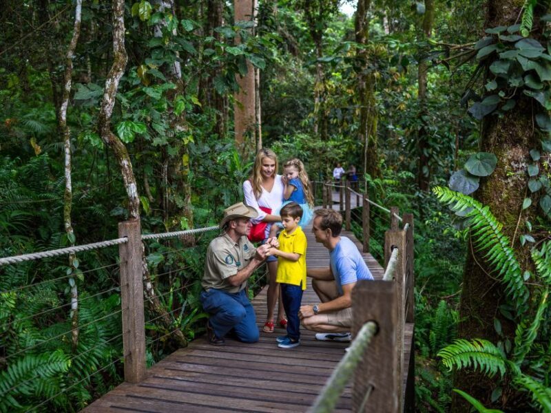 Port Douglas: World Heritage Forest by Skyrail & Scenic Rail - Is it Worth the Price?  